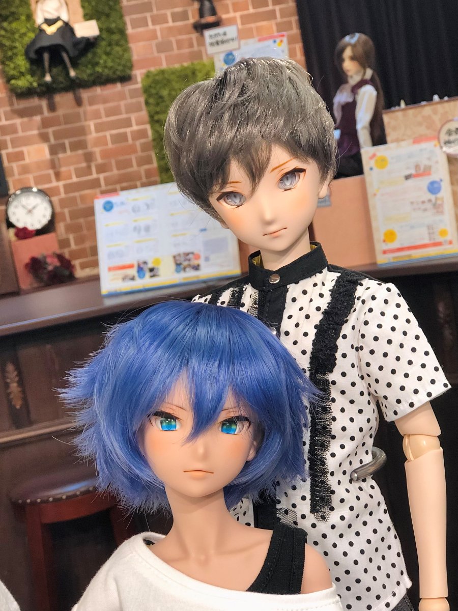 ボークス ドリームチョイス フレッシュ肌 MDD ドルフィードリーム-