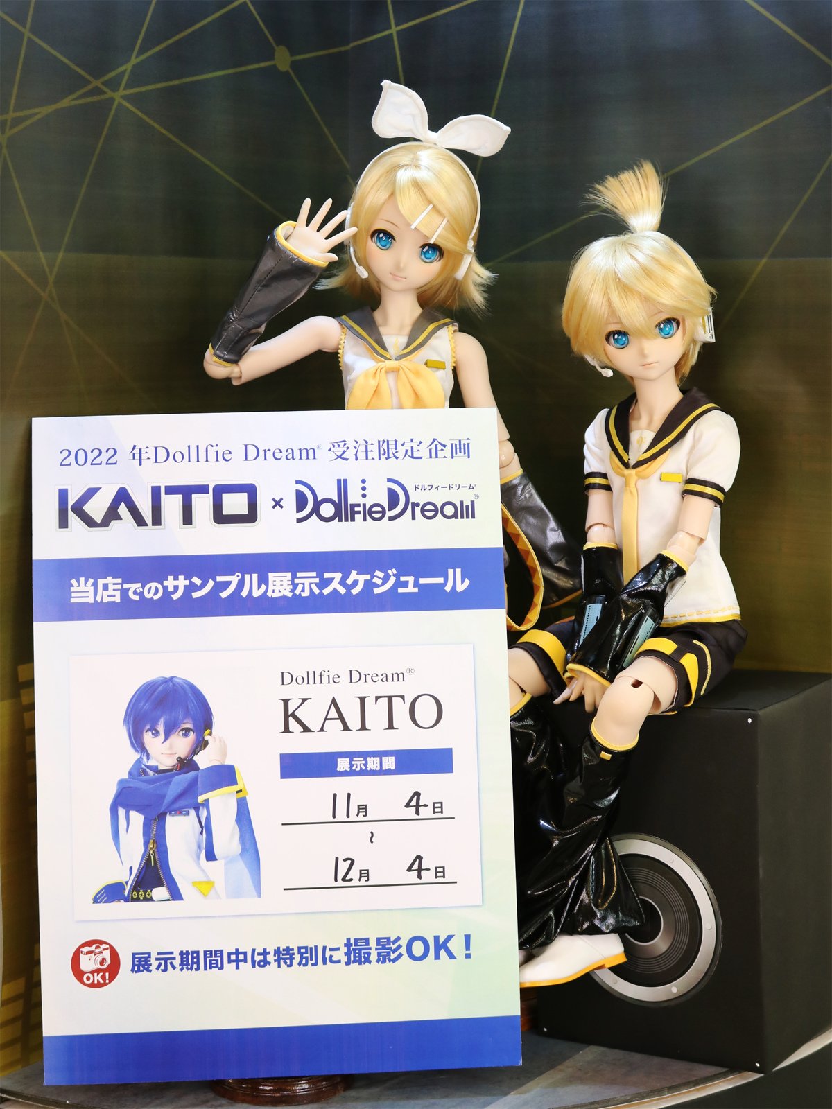 DD KAITO ボークス ドール ドルフィードリーム カイト VOLKS-